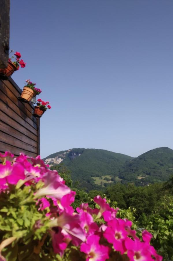 Au Chalet D'Anna Saint-Rambert-en-Bugey Exterior photo